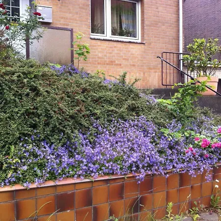 Traumhaftes In Ohler Apartamento *